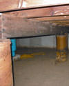 Mold and rot thriving in a dirt floor crawl space in Philadelphia