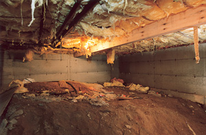Before view of dirt Crawl Space in Philadelphia