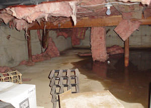 Fiberglass dripping off of the ceilings of a Camden crawl space