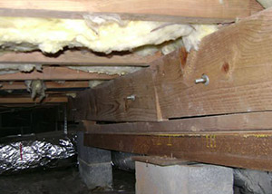 sagging crawl space with wooden shimming a Quakertown crawl space
