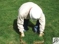 Restoring the landscaping by replacing removed sod on the ground for a Chester home.