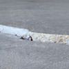 Slab floor cracks showing in a Camden home