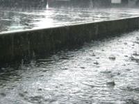 Heavy rains in a downpour in Kennett Square.