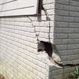 foundation walls cracked due to settlement in Philadelphia