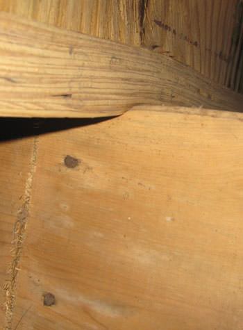 severe damage to a crawl space structure in a Norristown home