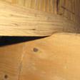sagging floor joists and girders in Newark