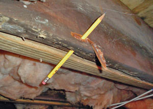 Destroyed crawl space structural wood in Philadelphia