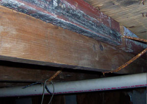 Rotting, decaying wood from mold damage in Cherry Hill
