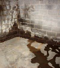 Water seeping through a concrete wall in a Newark basement