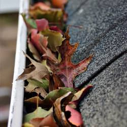 Clogged gutters filled with fall leaves  in Vineland
