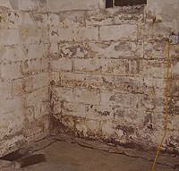 Peeling, Chipping, Basement Wall Coatings in Cherry Hill