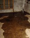 Wet basement repair in Newark & nearby
